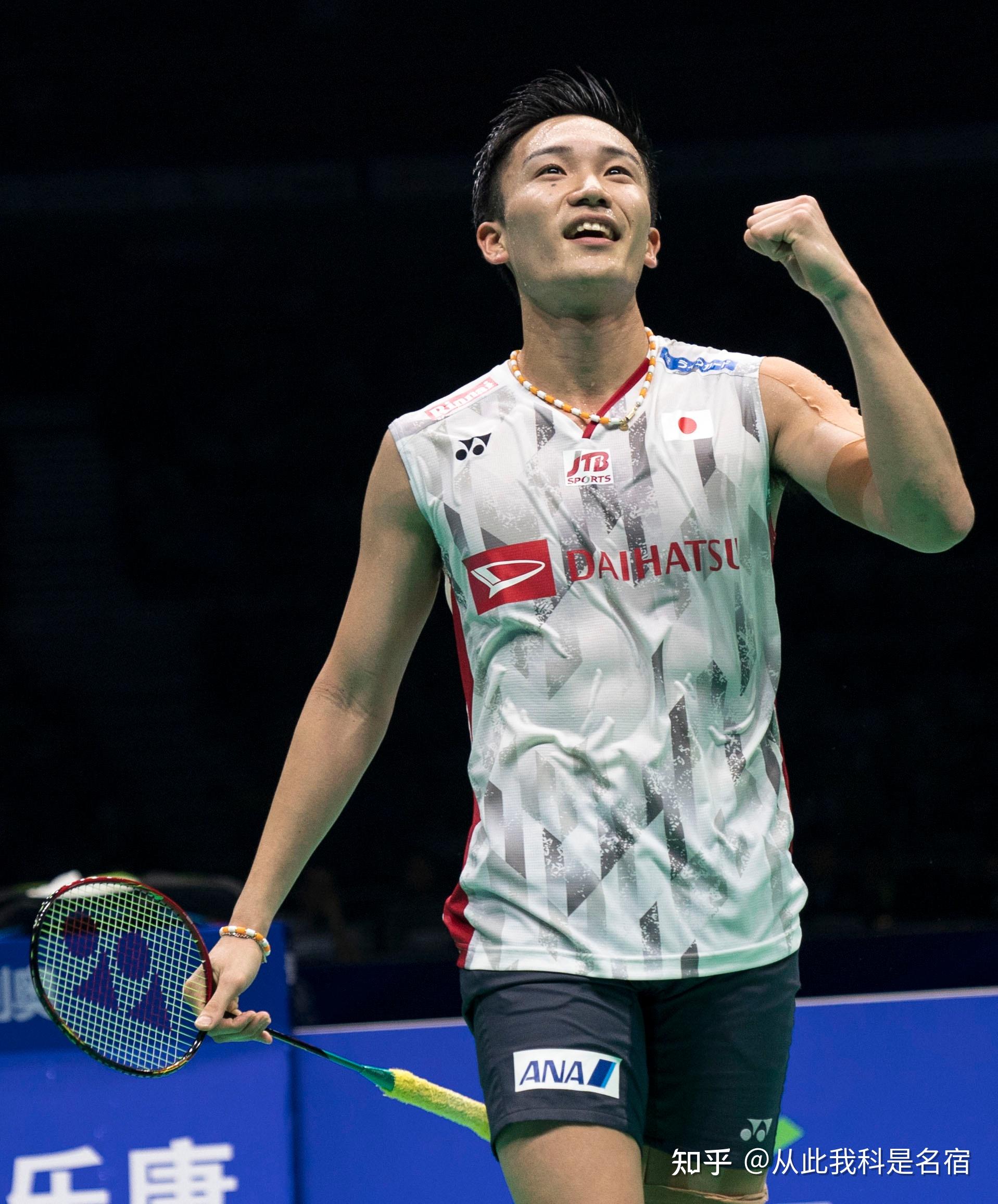 探讨叠戈科 探讨叠戈科